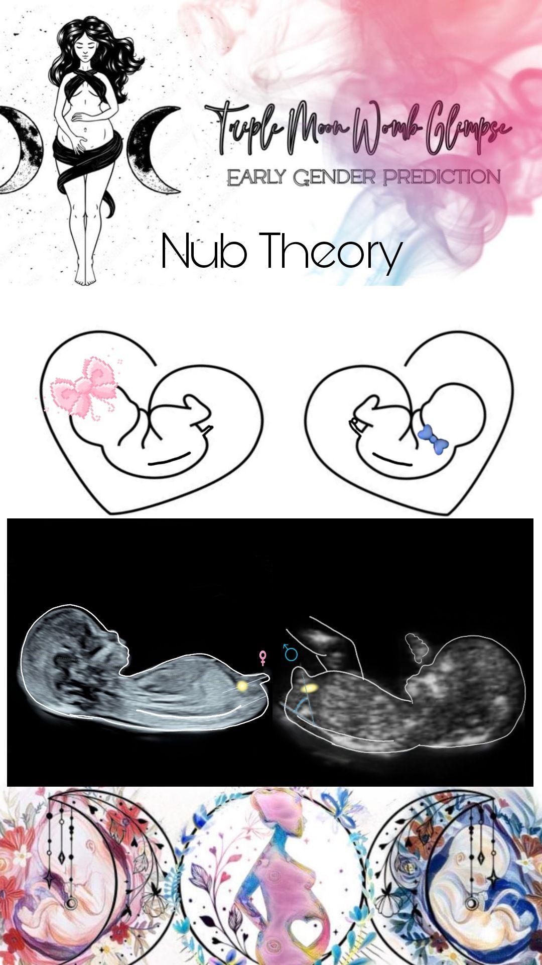 Nub  Ramzi Skull Theory and Potty shots Gender prediction baby boy or Girl? ♀️♂️