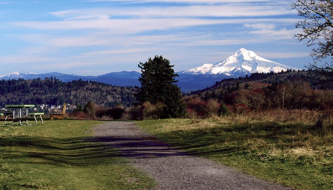 Powell Butte Walking group