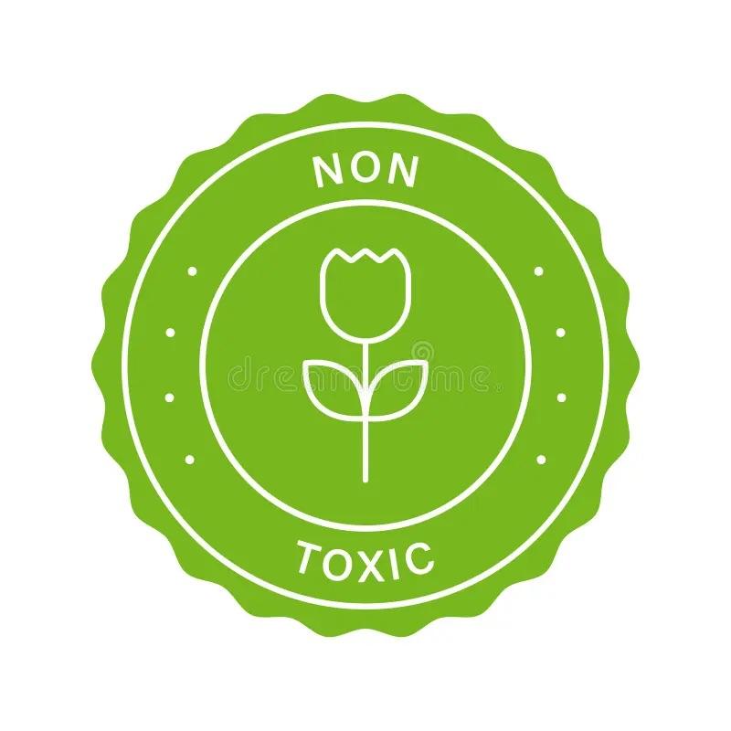 Non-toxic Mamas