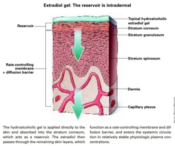 Oestrogen gel FAQs and application...🩷