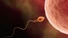 How Long Can Sperm Live?