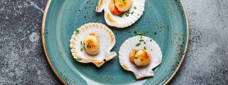 Can Pregnant Women Eat Scallops?