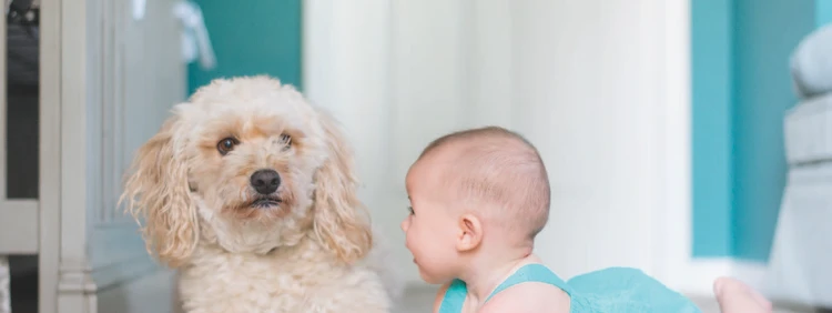 Bebé de 5 Meses: Habilidades y Desarrollo