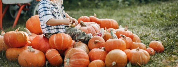 234 Cowboy Baby Names for the Wild at Heart