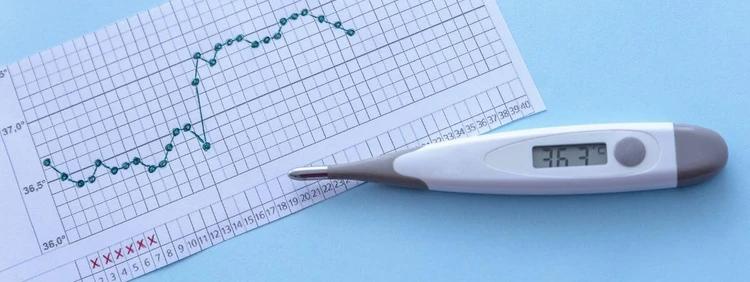 Basal Body Temperature While TTC & During Pregnancy