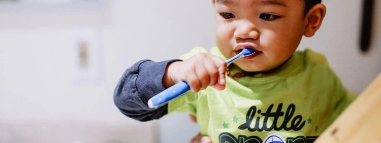 Una Tabla de Dentición y Caída de los Dientes de Leche y Cómo Funciona