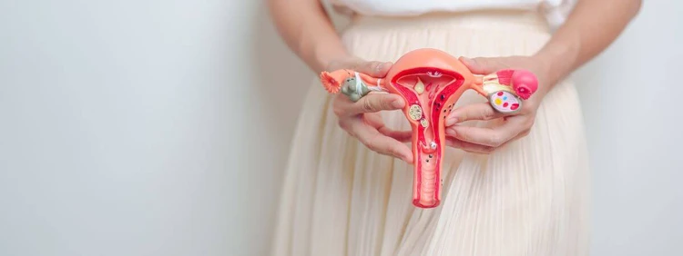 Tilted Uterus 101: Causes, Symptoms & Pregnancy