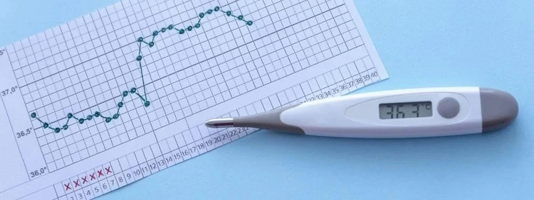 Temperatura basal del cuerpo mientras intentas concebir y durante el embarazo