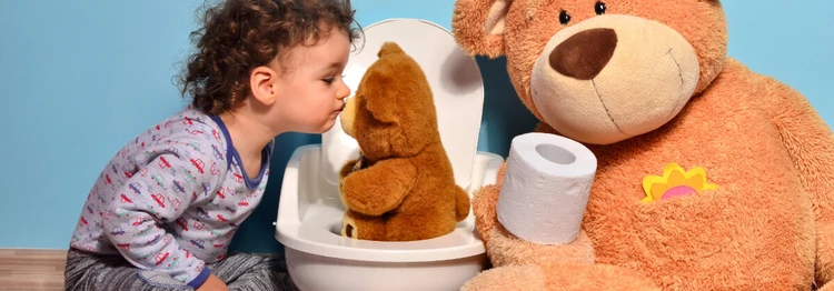 What are the Best Potty Training Toilets? Tips from the Expert