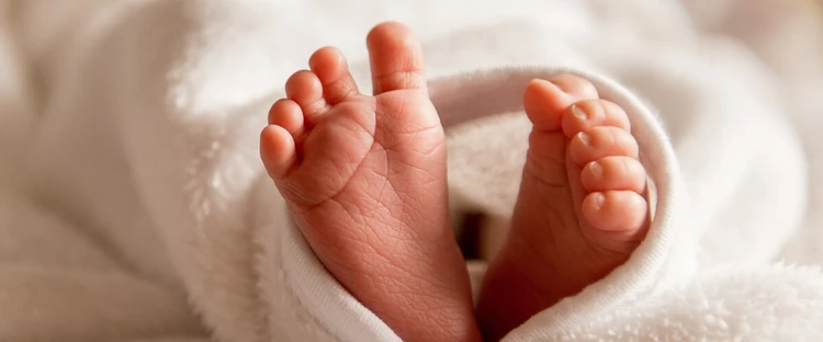 What is the daily routine of a newborn baby?