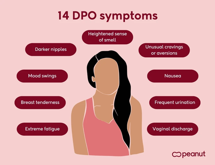 14 DPO symptoms