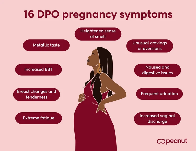 16 DPO pregnancy symptoms