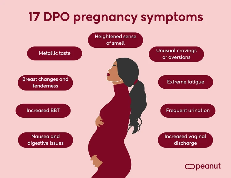 17 DPO pregnancy symptoms