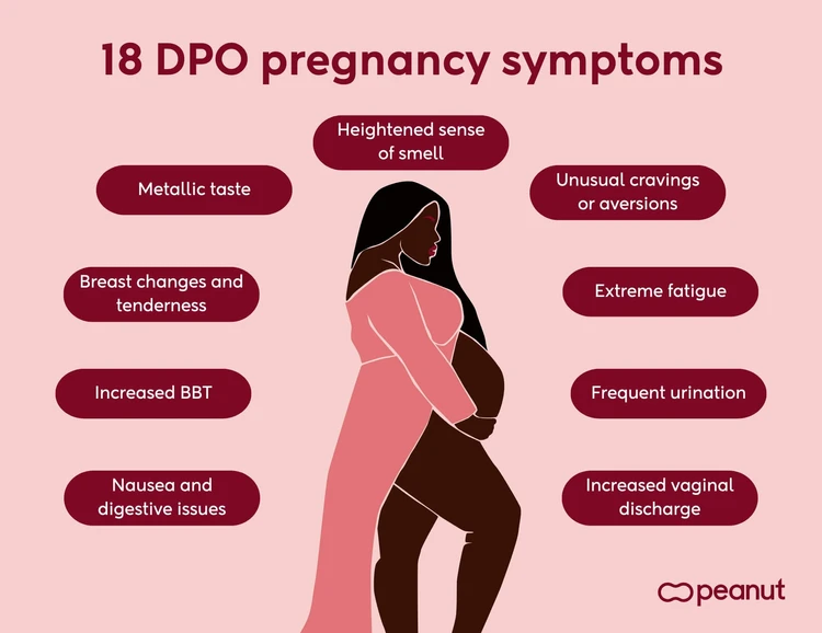 19 DPO pregnancy symptoms