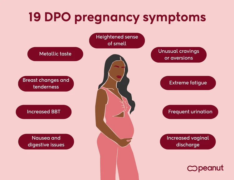 19 DPO pregnancy symptoms