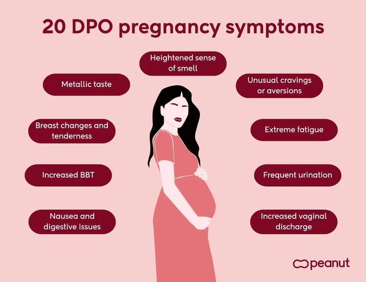 20 DPO pregnancy symptoms