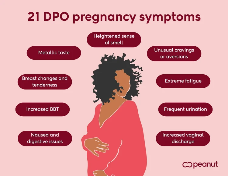 21 DPO pregnancy symptoms